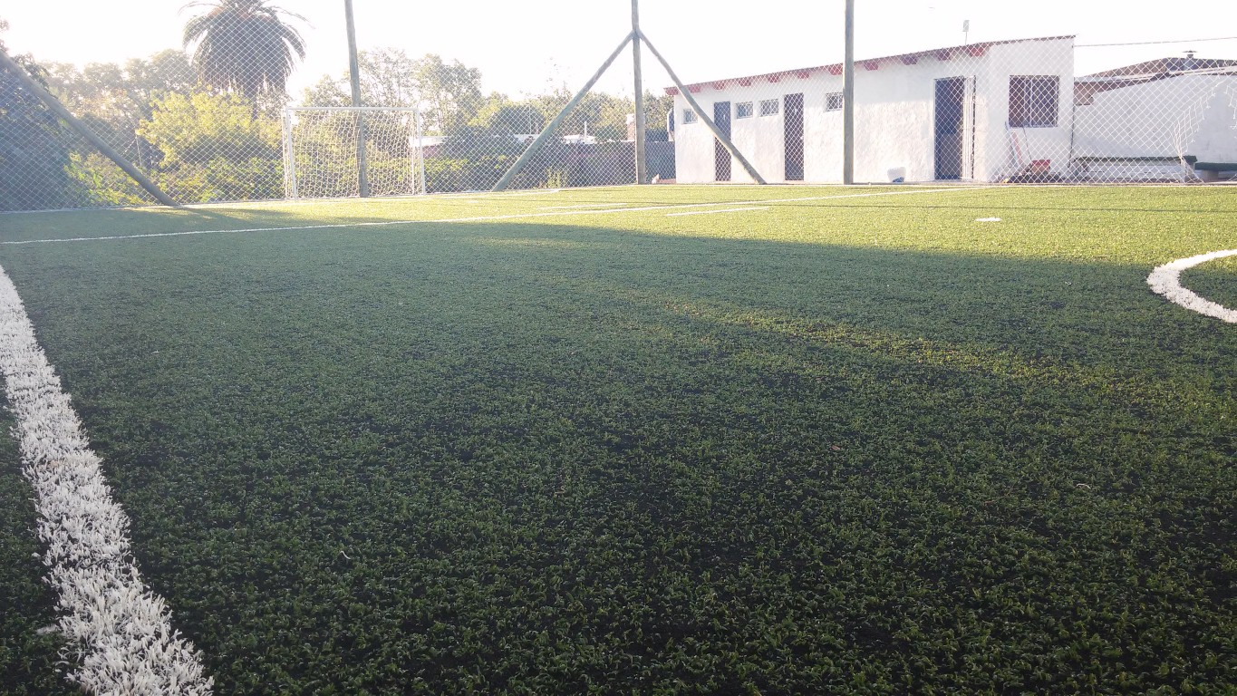 Imagen de Perseverancia Fútbol 5